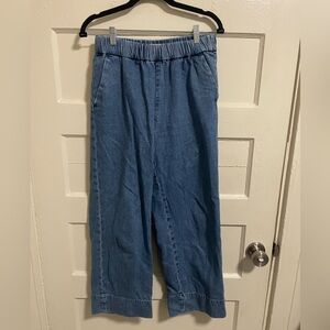 Everlane Blue Organic Cotton Jeans wide leg